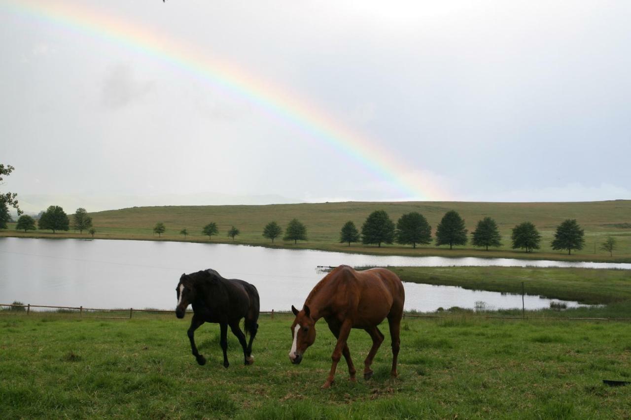 Sani Valley Nature Lodges Himeville Kültér fotó